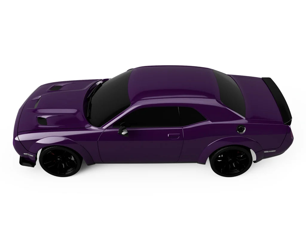 1/5 Scale RC Car