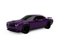 1/5 Scale RC Car
