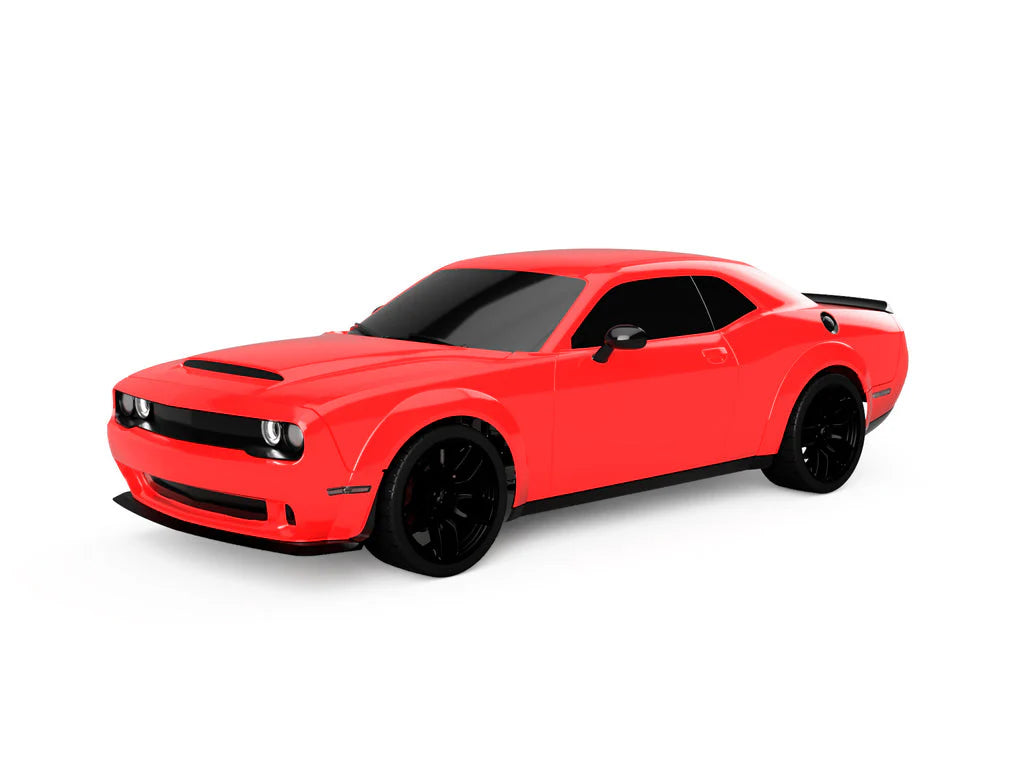 1/5 Scale RC Car